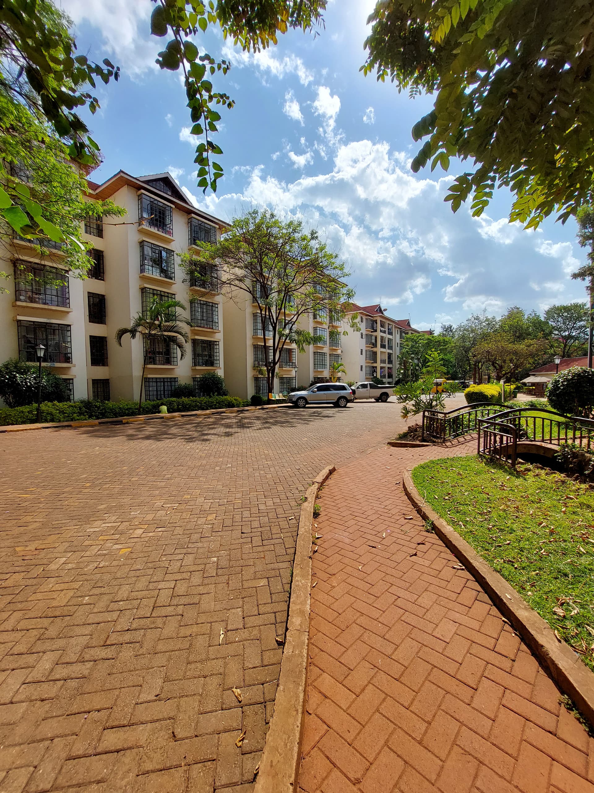 Jacaranda Gardens
