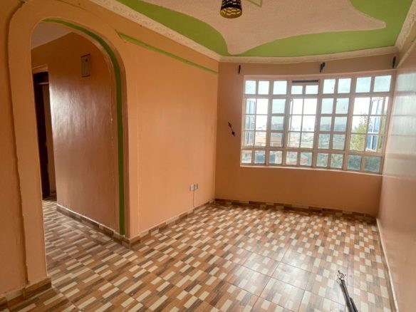Kiwa Plaza – 2 Bedroom Apartment for Rent, Kahawa Wendani, Thika Road. Rent 17,000. Watch virtual tour and video tour here
