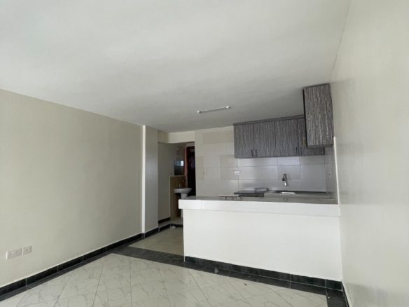 Swan Villa Apartments – 1 Bedroom Apartment for Rent, Tassia (Near Quickmart Supermarket, Fedha Road)