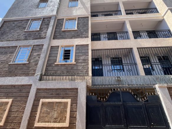 Liberty Homes 2 Bedroom Apartment for Rent near Wangige Stage, Ngecha Road, Wangige (#10222012601)