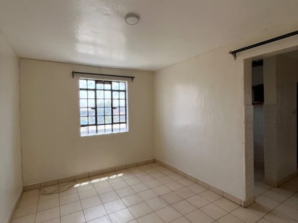 WhatsApp Image 2026-02-16 at 13.01.31