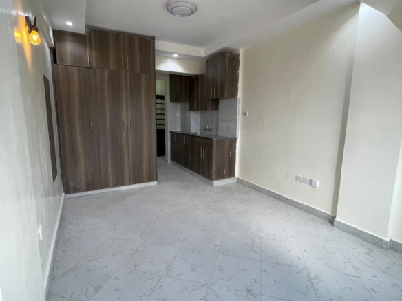 Neema Towers bedsitter for rent gwa kairu. video and virtual tour available here.