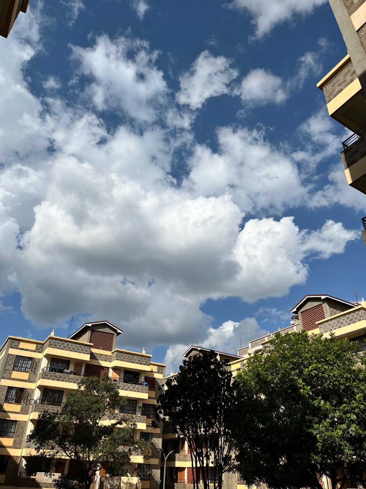 WhatsApp Image 2025-10-26 at 20.53.43 (14) West View – 2 Bedroom Apartment for Rent, Thindigua (Opposite Serene Court)