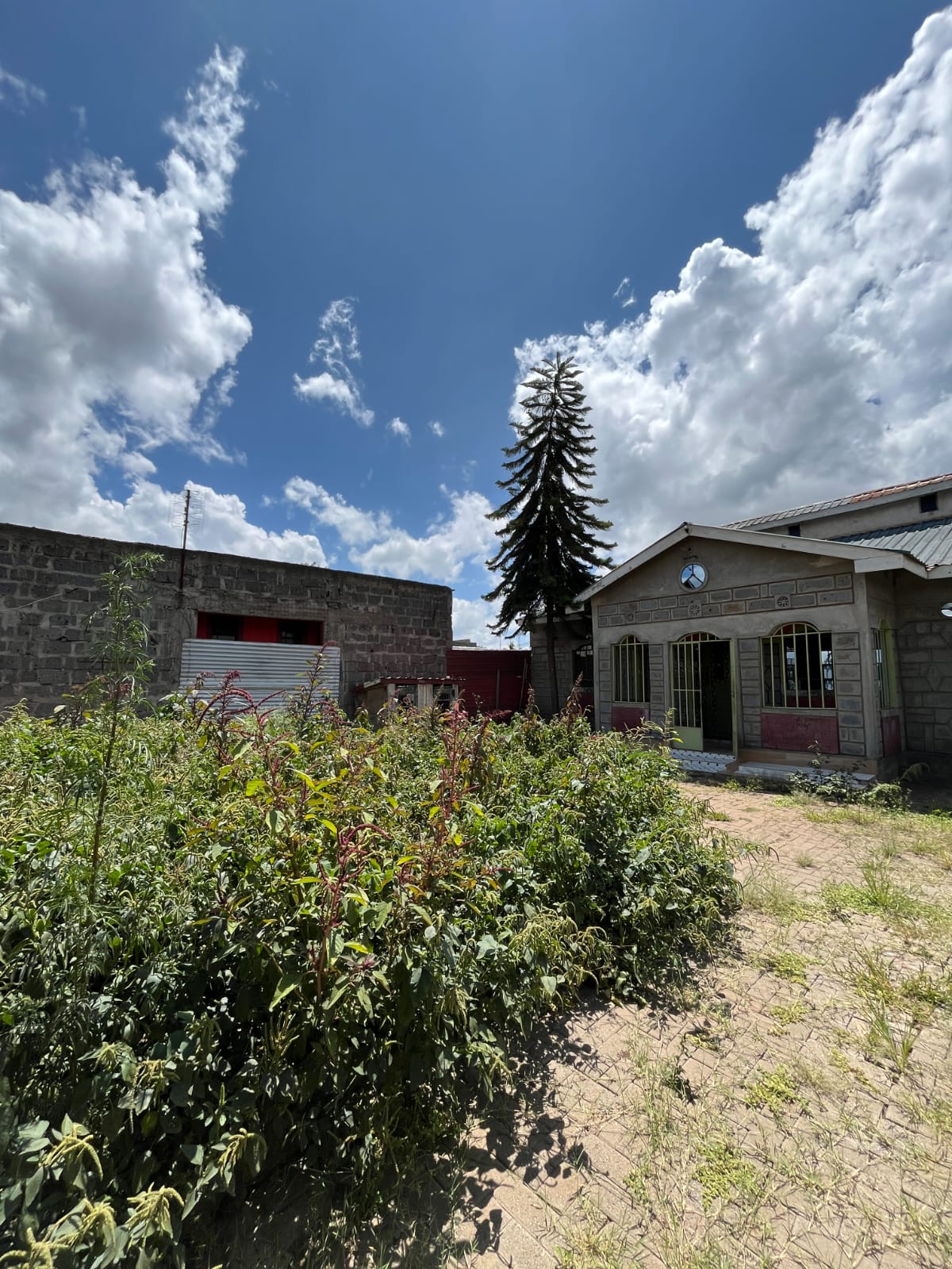 WhatsApp Image 2025-11-27 at 05.12.52 (7) 4 Bedroom House for Sale – Mwihoko (Near Mwihoko Secondary School)