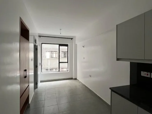 Tsavo Sunset Phase 2 – Superior Studio Apartment for Rent in Thindigua (Near Laceup Sports Centre) - D310